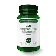 250 Vitamine B12 & Foliumzuur (800 mcg) - 60 veg. Kapseln