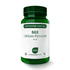 502 Calcium Pyruvaat (500 mg) - 60 veg. Kapseln