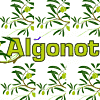 Algonot